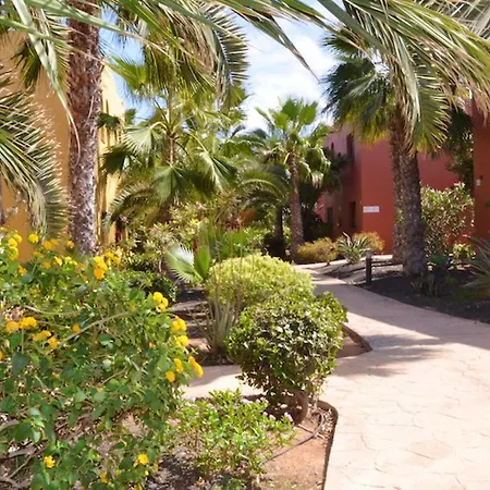 Cosy In Corralejo, Shared Pool, 55 M² * 科拉雷侯