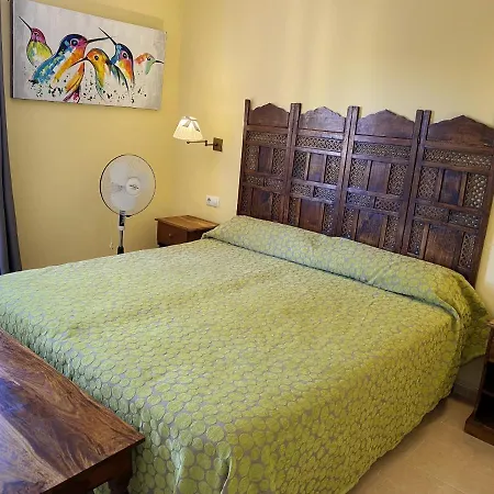 Cosy Corralejo: With Shared Pool Apartment