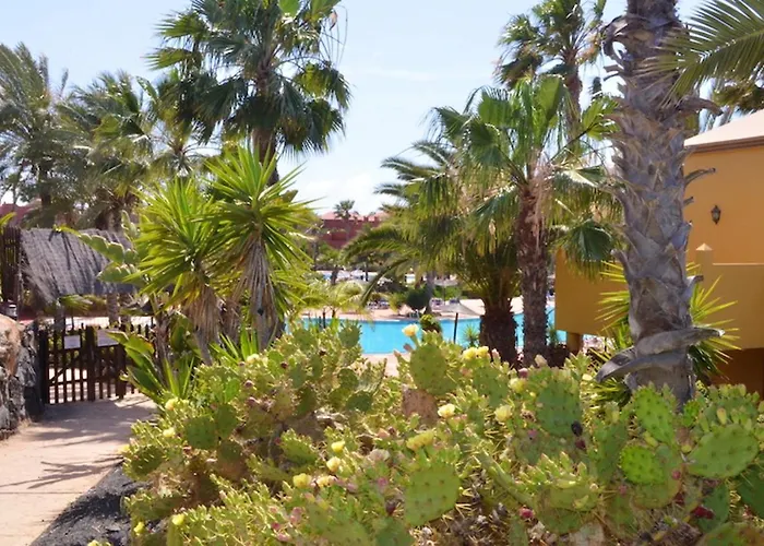 Cosy In Corralejo, Shared Pool, 55 M² 科拉雷侯